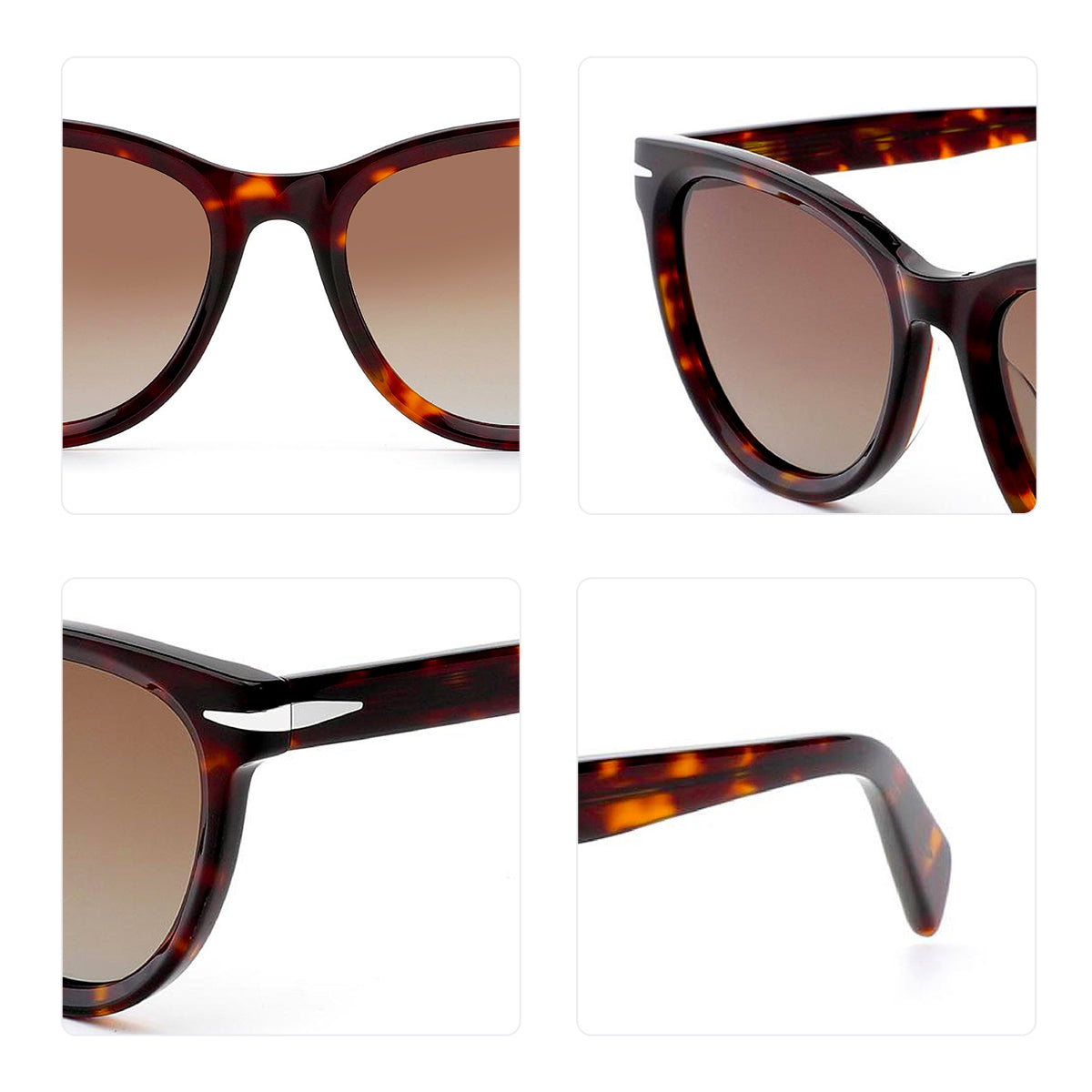 Vittorio MB1501S Polaroid Sunglasses
