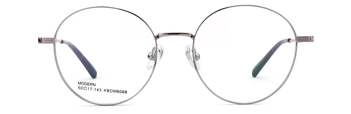 Eyeglasses frame black/silver