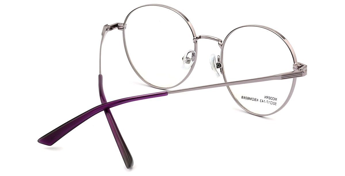 Eyeglasses frame black/silver
