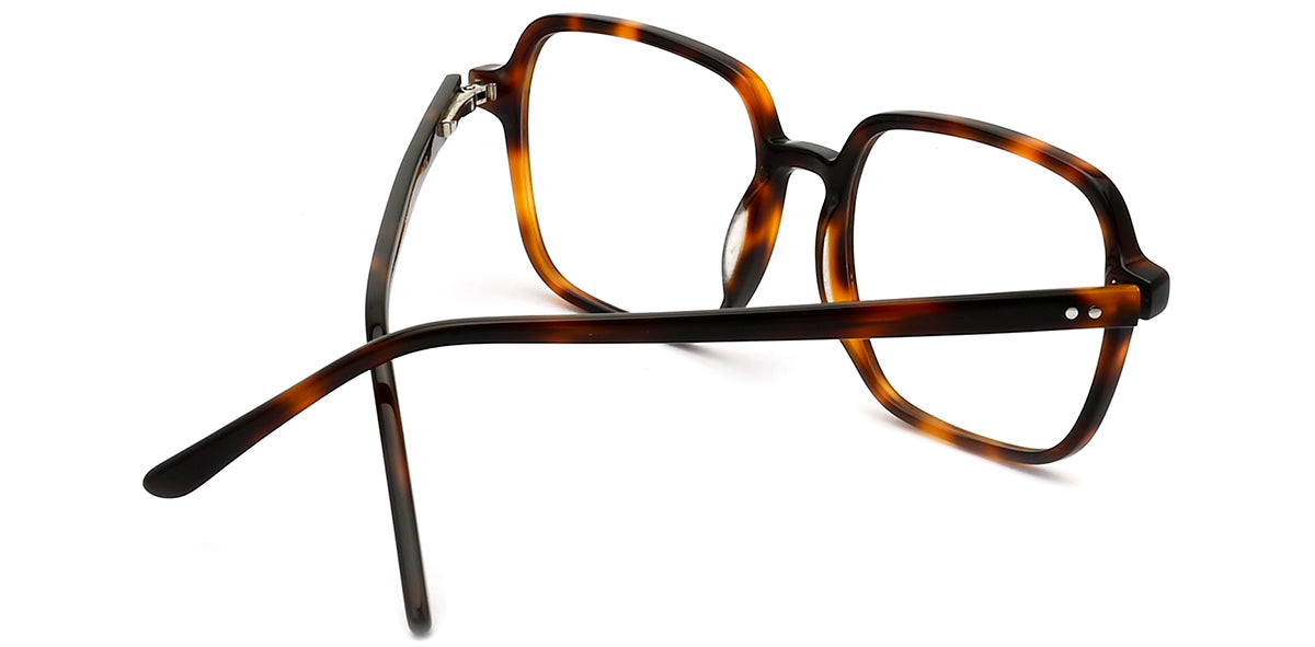 Vittorio FG1260 Square Eyeglasses Frame with Clip-On Sunglasses
