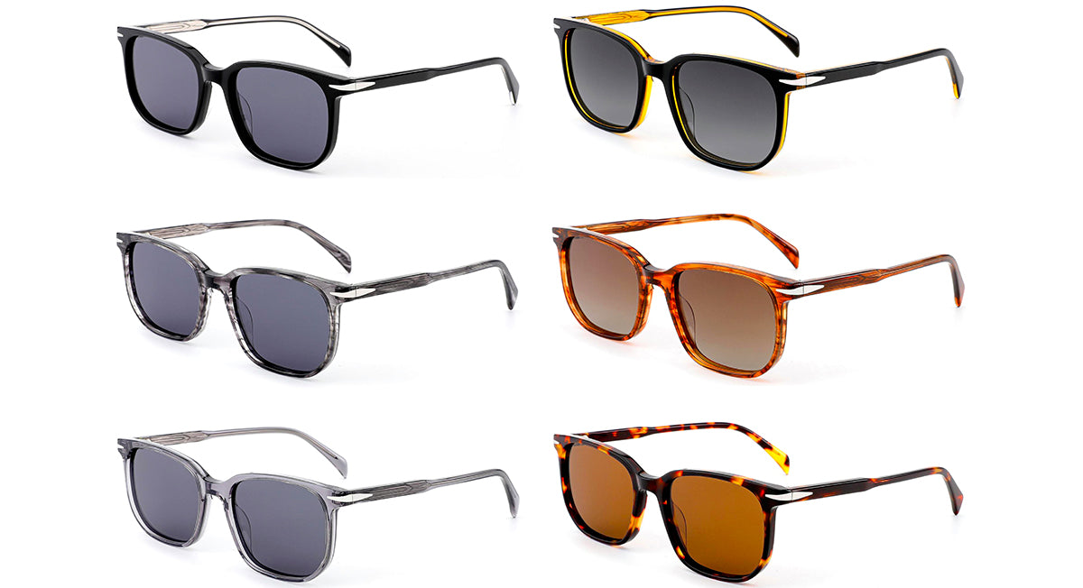 Vittorio MB1502S Polaroid Sunglasses
