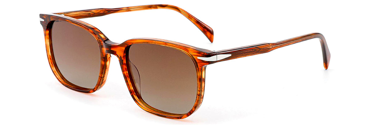 Vittorio MB1502S Polaroid Sunglasses