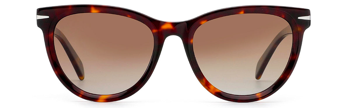 Vittorio MB1501S Polaroid Sunglasses