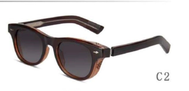 Aurora Vision London 8015 sunglasses - front and hinge detail view